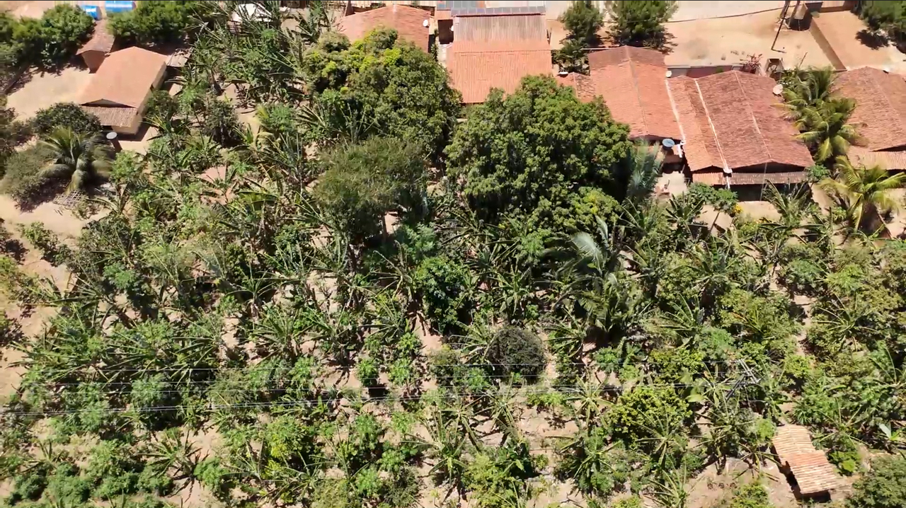 IMÁGEM AÉREA DO QUINTAL DO SEU MILÚ AGROFLORESTA FOTO DE 2024