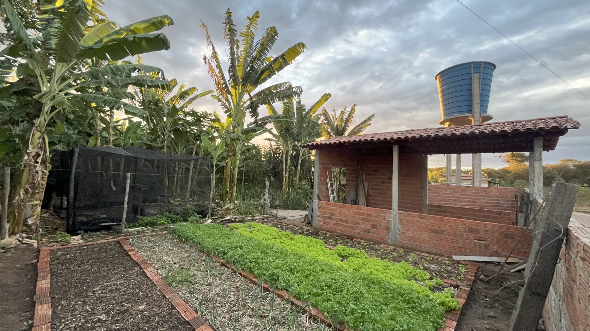 FOTO DA ENTRADA DO QUINTAL AINDA EM CONSTRUÇÃO JUNHO 2025